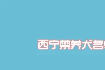 西宁市禁养犬名单及品种