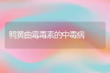 鸭黄曲霉毒素的中毒病