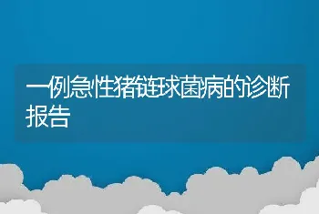 一例急性猪链球菌病的诊断报告