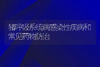 猪呼吸系统病感染性疾病和常见药物防治