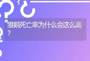 雏鹅死亡率为什么会这么高？