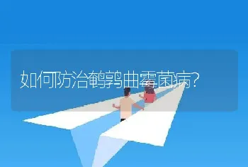 如何防治鹌鹑曲霉菌病？