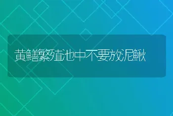 黄鳝繁殖池中不要放泥鳅