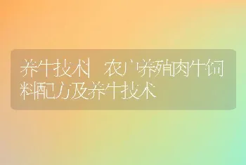 养牛技术|农户养殖肉牛饲料配方及养牛技术