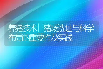 养猪技术|猪场选址与科学布局的重要性及实践