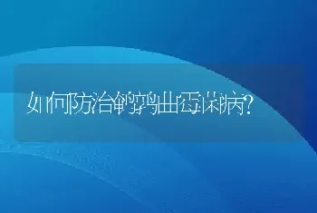 如何防治鹌鹑曲霉菌病？