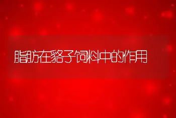 脂肪在貉子饲料中的作用