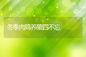 冬季肉鸡养殖四不忘