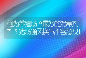 何为养殖场“最好的消毒剂”？猪场通风换气不容忽视！