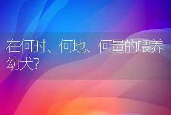 在何时、何地、何量的喂养幼犬？