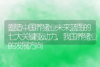 塑造中国养猪业未来蓝图的七大关键驱动力，我国养猪业的发展方向