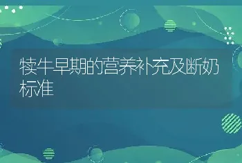 犊牛早期的营养补充及断奶标准