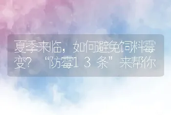 夏季来临，如何避免饲料霉变？“防霉13条”来帮你