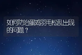 如何防治蛋鸡羽毛松乱出现的问题？