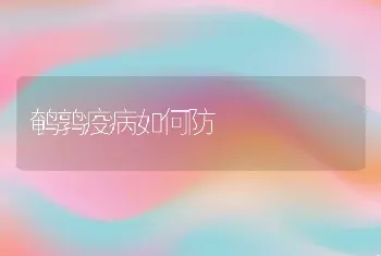 鹌鹑疫病如何防