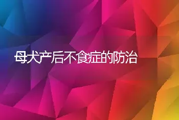 母犬产后不食症的防治