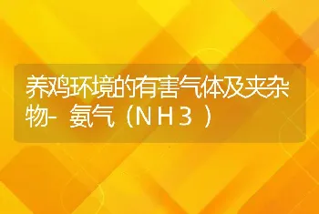 养鸡环境的有害气体及夹杂物-氨气（NH3）