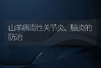 山羊病毒性关节炎、脑炎的防治