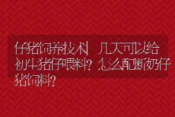 仔猪饲养技术|几天可以给初生猪仔喂料？怎么配断奶仔猪饲料？