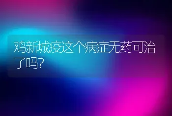 鸡新城疫这个病症无药可治了吗？