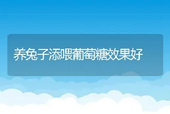 养兔子添喂葡萄糖效果好