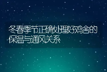 冬春季节正确处理好鸡舍的保温与通风关系