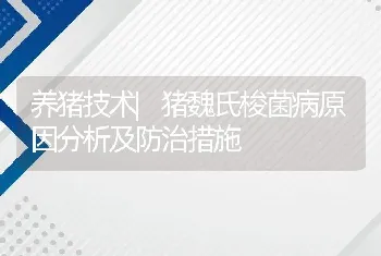 养猪技术|猪魏氏梭菌病原因分析及防治措施