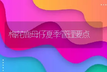 梅花鹿母仔夏季管理要点