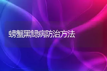 螃蟹黑鳃病防治方法