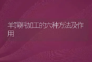 羊饲料加工的六种方法及作用