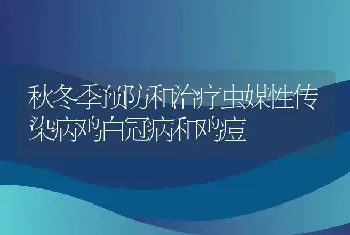 秋冬季预防和治疗虫媒性传染病鸡白冠病和鸡痘