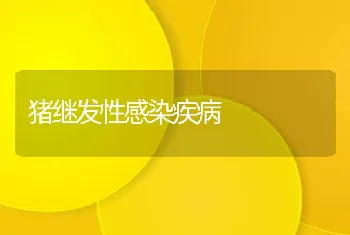 肉鸭育雏期的饲养管理技术