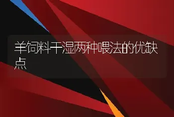 羊饲料干湿两种喂法的优缺点