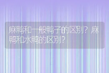 麻鸭和一般鸭子的区别？麻鸭和水鸭的区别？