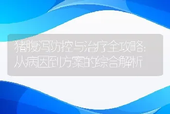 猪腹泻防控与治疗全攻略：从病因到方案的综合解析