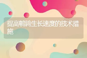 提高鹌鹑生长速度的技术措施