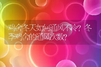 鸡舍冬天如何通风不冷?冬季鸡舍的通风次数?