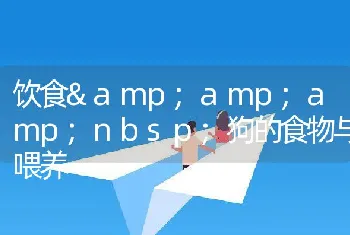 饮食amp;amp;狗的食物与喂养