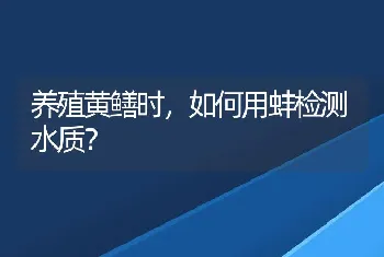 养殖黄鳝时，如何用蚌检测水质？