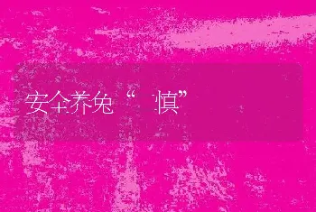 安全养兔“二慎”