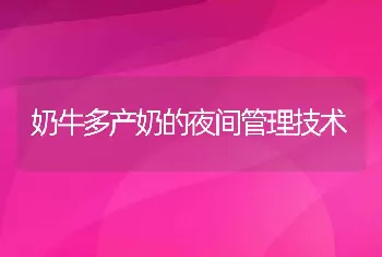 奶牛多产奶的夜间管理技术