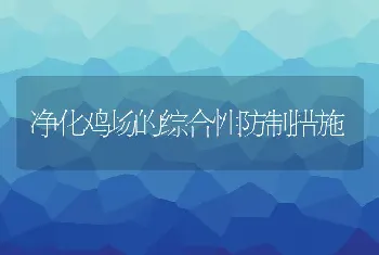 净化鸡场的综合性防制措施