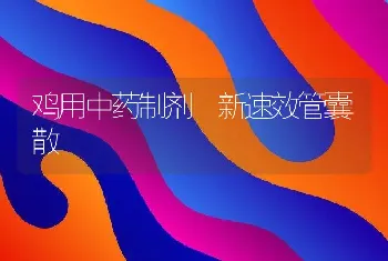 鸡用中药制剂―新速效管囊散