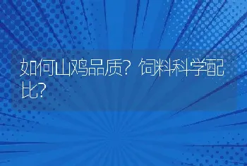 如何山鸡品质？饲料科学配比？