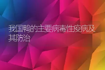 我国鸭的主要病毒性疫病及其防治