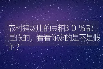 农村猪场用的豆粕30%都是假的，看看你家的是不是假的？