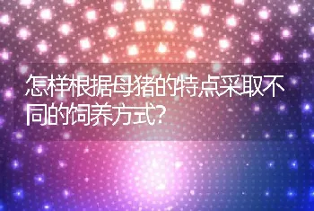 怎样根据母猪的特点采取不同的饲养方式？