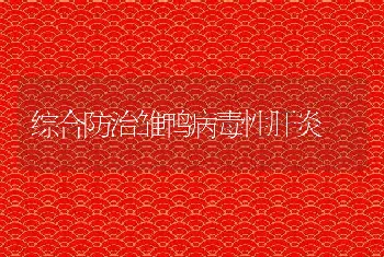 综合防治雏鸭病毒性肝炎