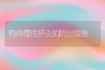 鸭病毒性肝炎的防治措施