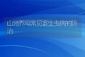 山地养鸡常见寄生虫病的防治